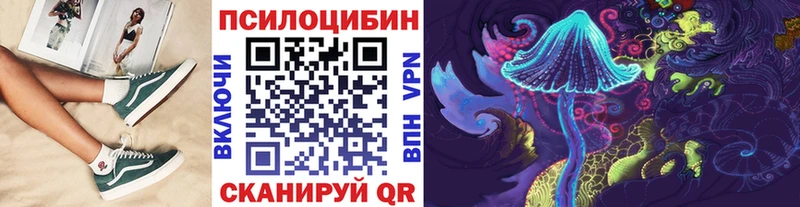 дарк нет как зайти KRAKEN tor Псилоцибиновые грибы мухоморы Сегежа наркошоп